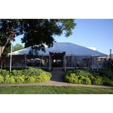 White Top Tent with Clear Sidewalls