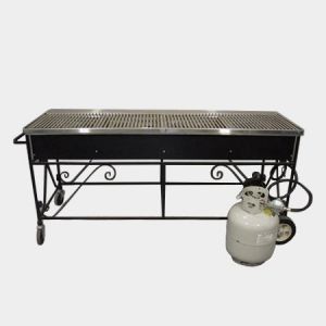 Propane BBQ Grill