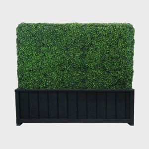 40” Single-Sided Boxwood Hedge